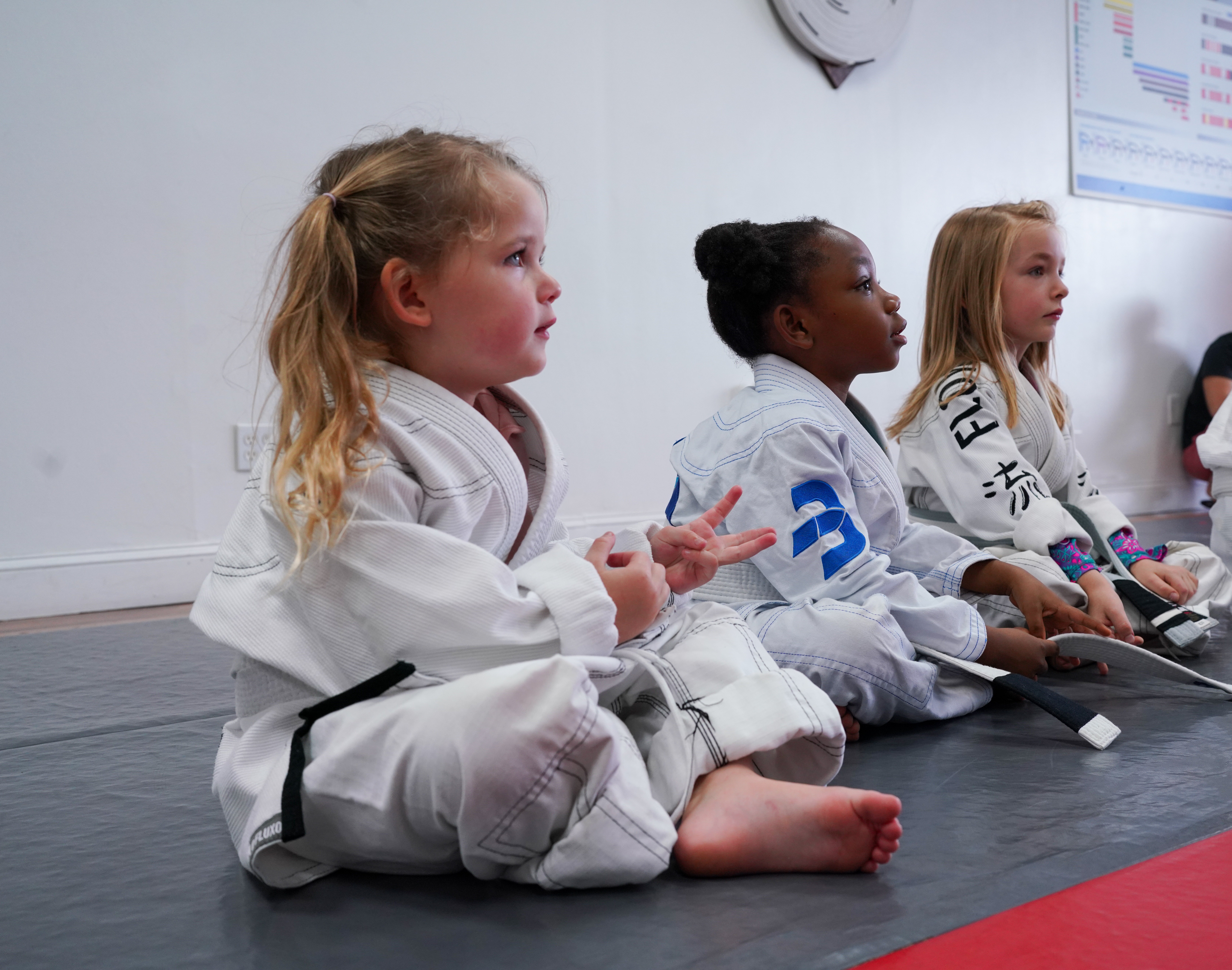 Brazilian Jiu Jitsu, for Children; Building Confidence and Character
